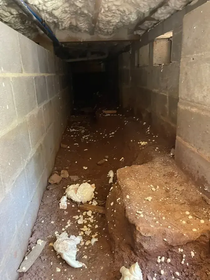 Basement pumped and dried after a sump failure in Derry, NH