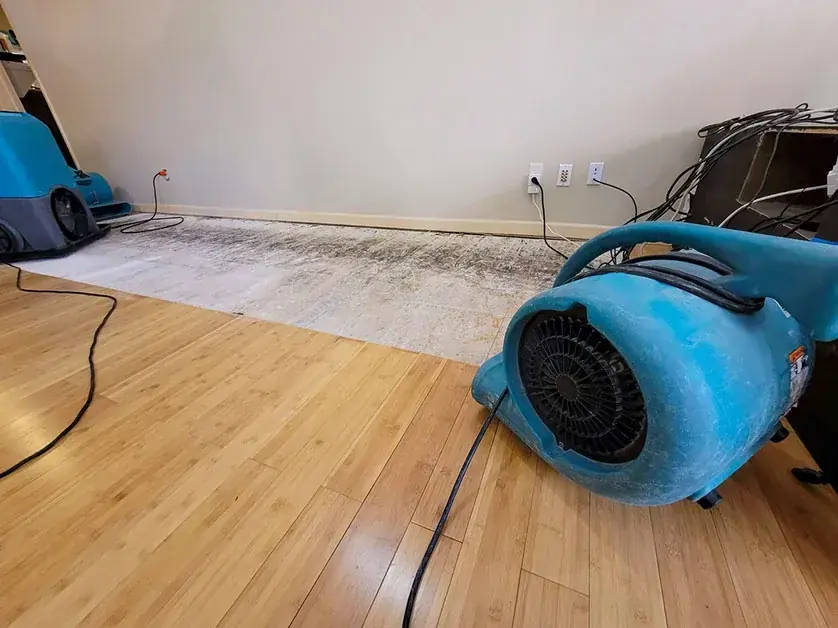 Air mover drying a hardwood floor in Derry, NH